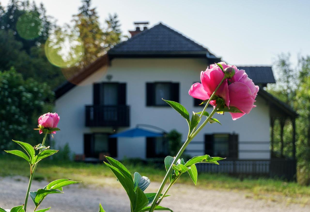 Apartments Zakrasnik Шкофья-Лока Экстерьер фото